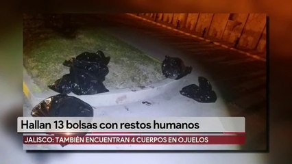 Hallan 13 bolsas con restos humanos en Jalisco