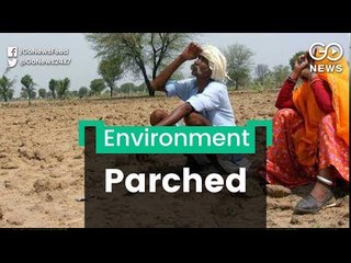 Reeling Under Dry Spell