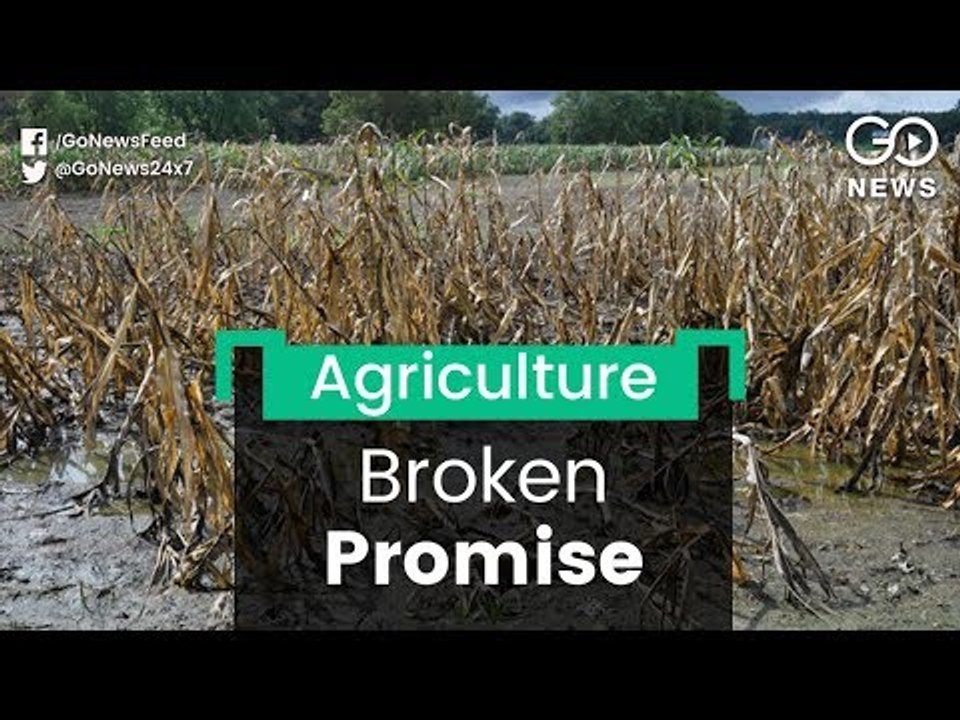 Damaged Crops, Broken Promises