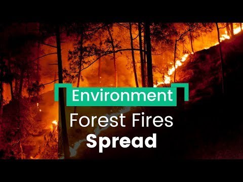 Forest Fires Raging Rapidly