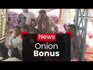 Export Incentive For Onions