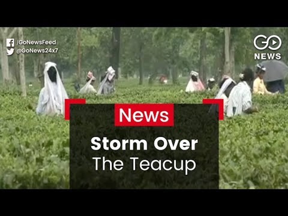 Tea Workers Protest Conditions