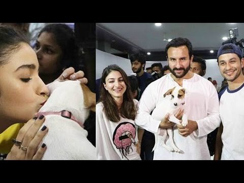 Alia Bhatt, Saif Ali Khan, Farah Khan, Sooraj Pancholi, Help to Find Home for Animals | SpotboyE