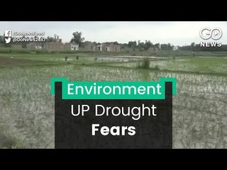 Drought Fears In UP