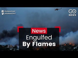 Fires Engulf Sweden & Greece