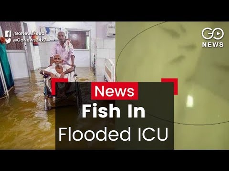 Fish In Flooded ICU