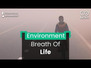 Pollution Reduces Span Of Life