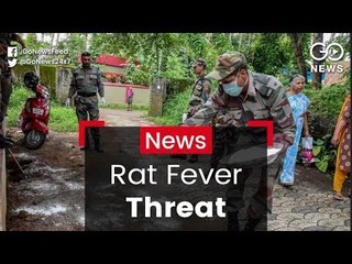 Rat Fever Hits Kerala