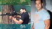 Ali Abbas Zafar Tests Salman Khan's Guns For Tiger Zinda Hai | Bollywood News
