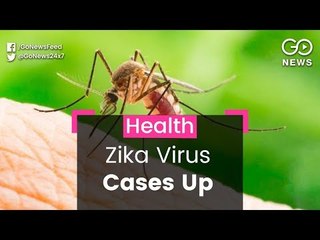 Zika Cases Rise To 125