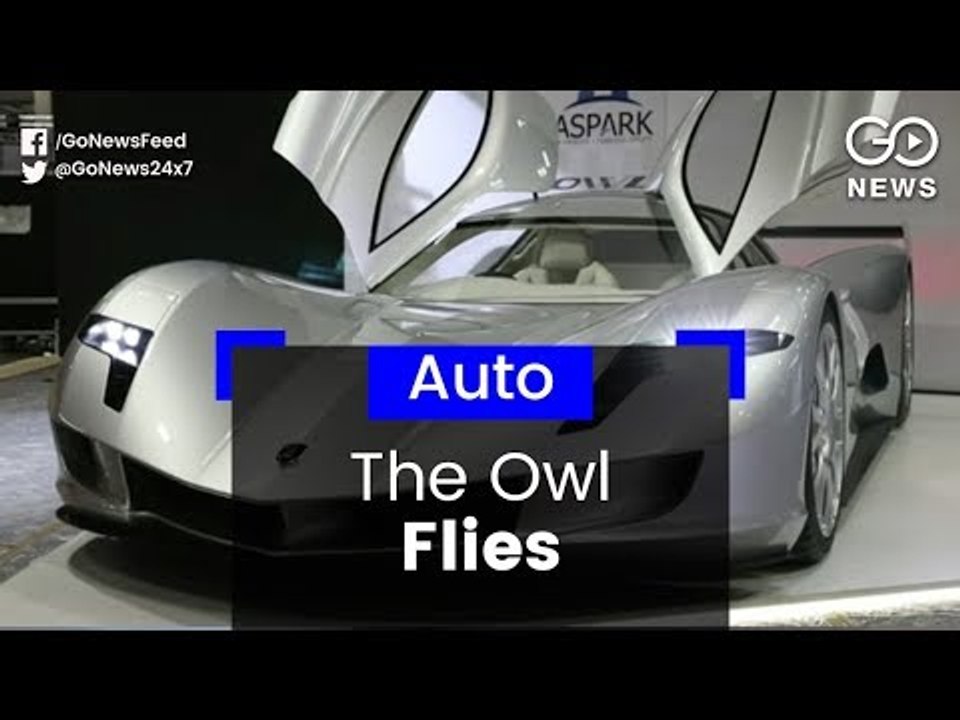 It's A Bird, It's A Plane...It's The Owl!