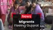 Migrants Flee Gujarat After Attacks