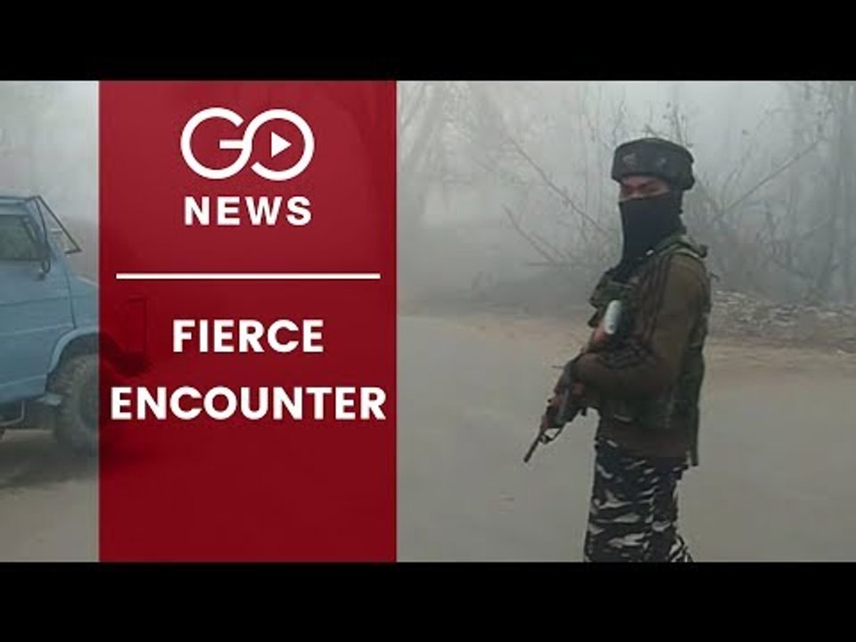 Fierce Encounter