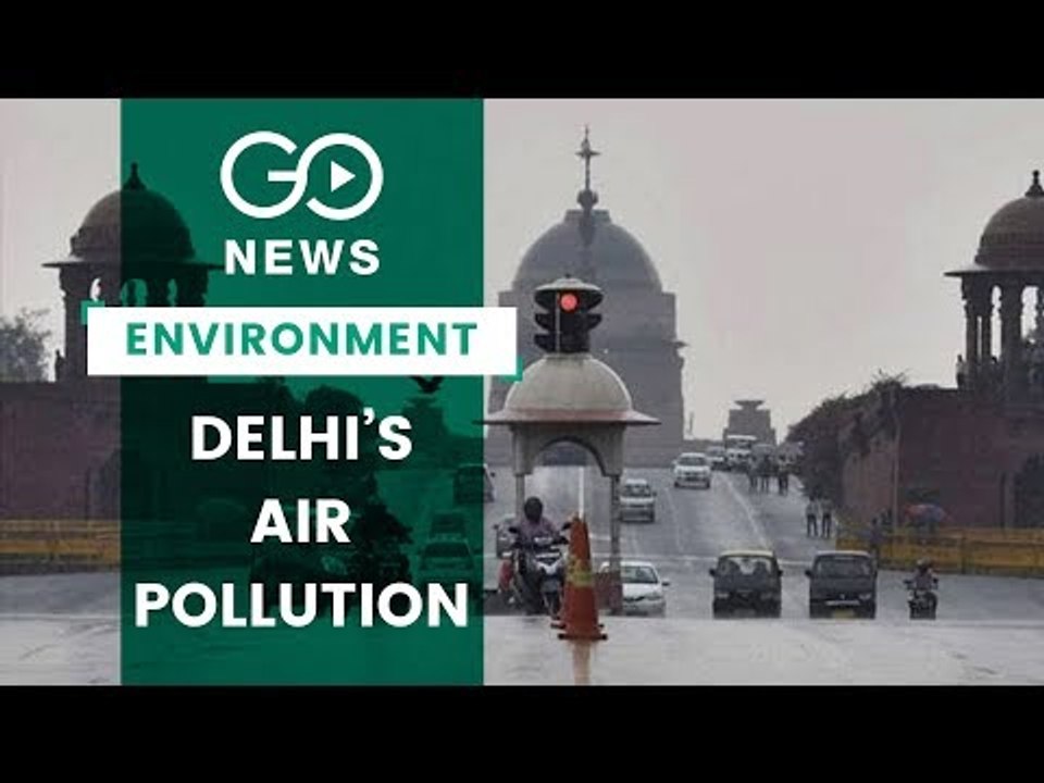 Rain Respite From Pollution