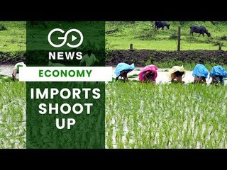 India's Agriculture Imports Rise