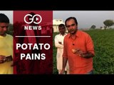 Potato Pains