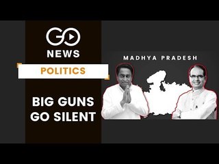 Big Guns Which Fell Silent In MP