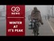 Cold Wave Grips North India