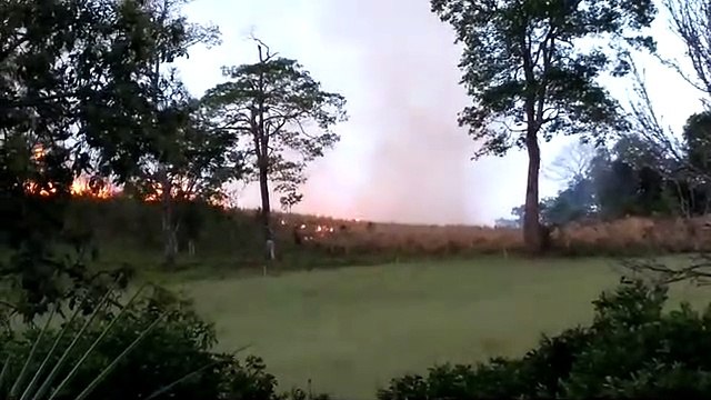 Após denúncia, PM Ambiental constata incêndio ambiental e multa proprietário