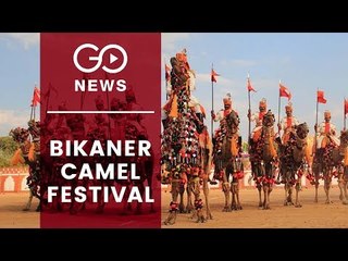 Camel Festival of Bikaner