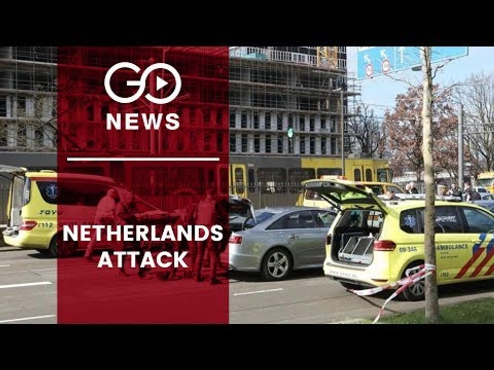 Suspect Held In Netherlands Attack