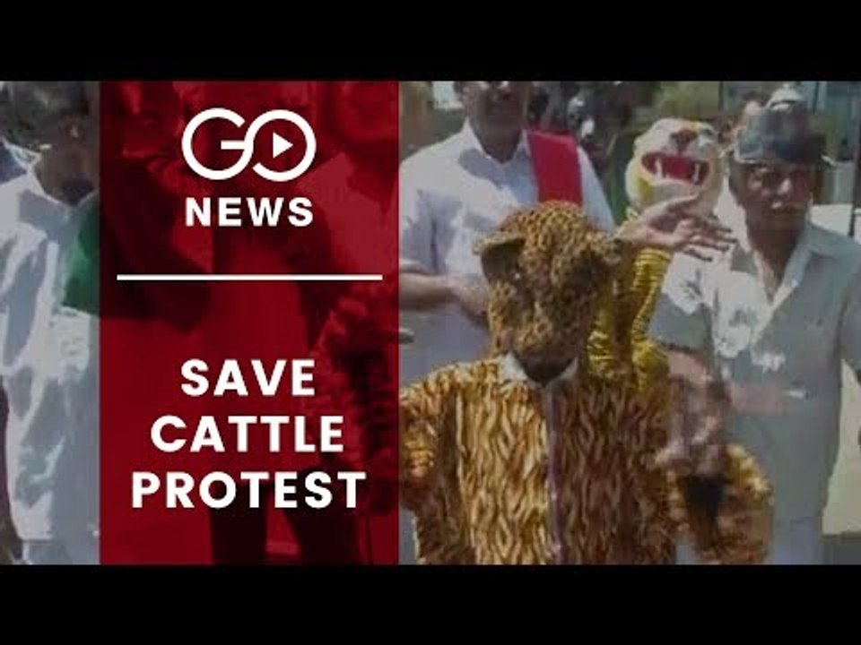 Cattle Owners Protest Leopard Attacks