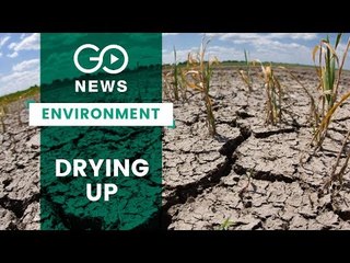 India Stares At Water Scarcity Nightmare