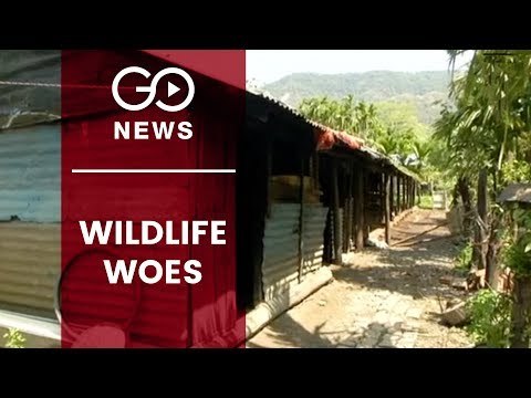 Neglected W.Bengal Village Sees Exodus