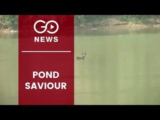 Greater Noida's Water Warrior