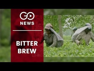 Tough Times For Small Tea Estates