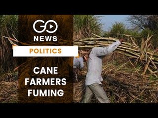 Sugarcane Farmers Fuming