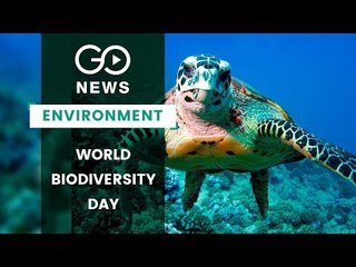 Biodiversity Under Grave Threat