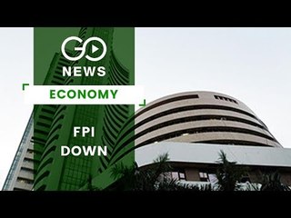 FPI Dips In May