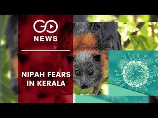 Nipah Fears Loom Over Kerala