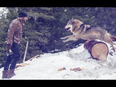 Salman Khan Takes On BLOOD-THIRSTY Wolves In Tiger Zinda Hai | SpotboyE