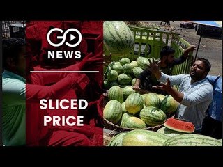 Farmers Forced To Sell Melons Dirt Cheap