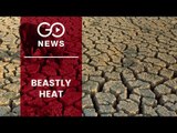Heat Wave Taking Severe Toll