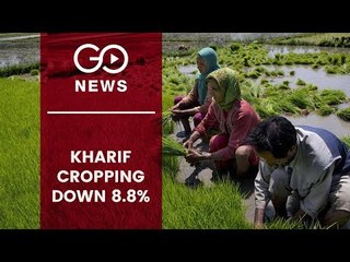 Kharif Sowing Down