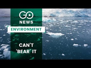 Alarming Arctic Ice Meltdown