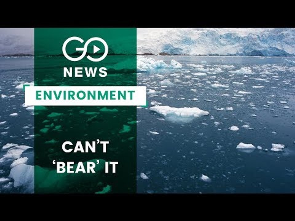Alarming Arctic Ice Meltdown