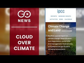 Eating Green Will Help Save The Planet: UN Report