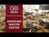 Up To 100 Cows Die In Andhra Shelter