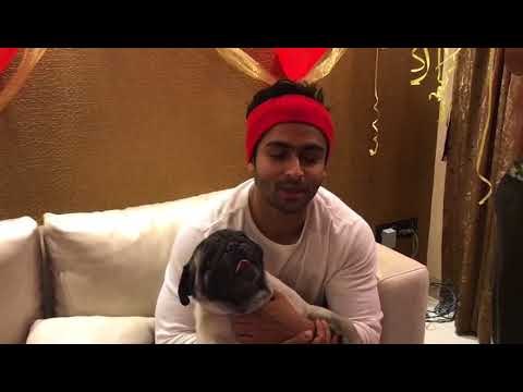 Shoaib Ibhahim liked the Surprise Given by his wife Dipika Kakar on his Birthday | SpotboyE