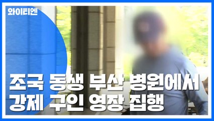 檢, 조국 동생 오늘 오후 영장심사...부인 정경심, 3차 소환 조사 / YTN