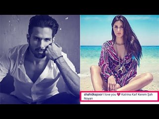 Shahid Kapoor’s Instagram And Twitter Accounts Hacked. Post Reads “I Love You Katrina Kaif”