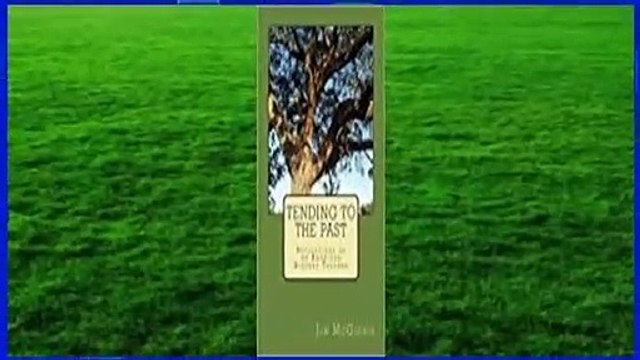 Tending to the Past: Reflections of an American History Teacher Best Sellers Rank : #5
