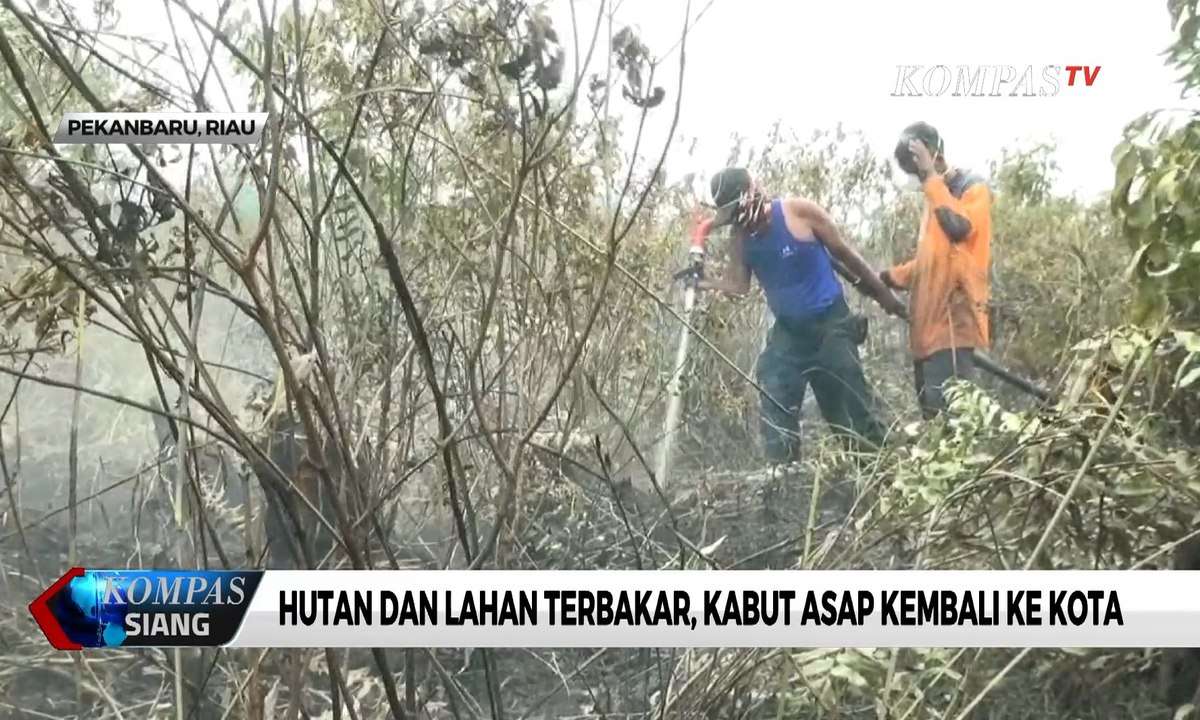 Belasan Titik Panas Kembali Muncul di Riau