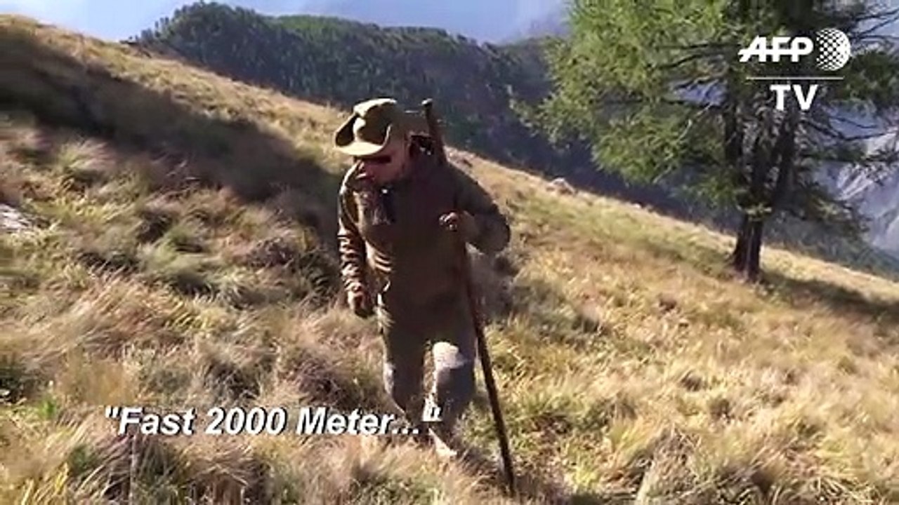 Putin sucht Pilze zum Geburtstag