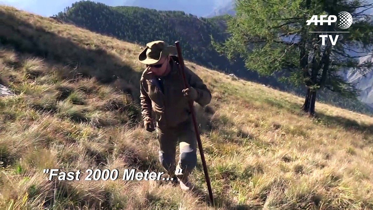 Putin sucht Pilze zum Geburtstag