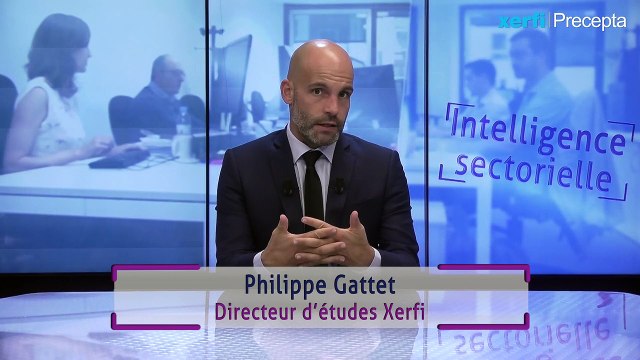 Les défis et opportunités des cabinets de conseil en stratégie et en management [Philippe Gattet]